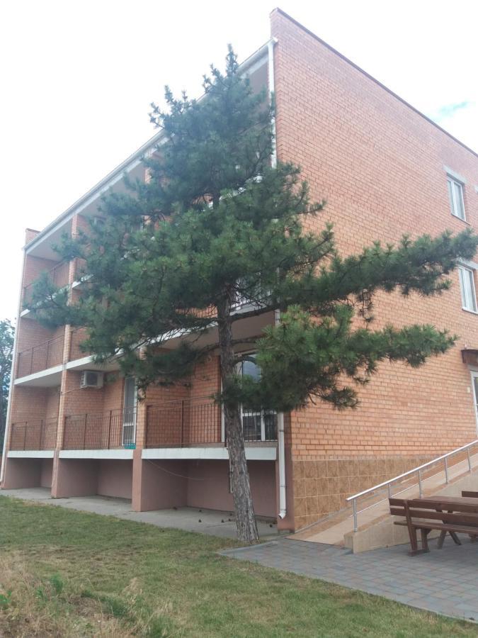 Пальмира Hotel Kobleve Buitenkant foto